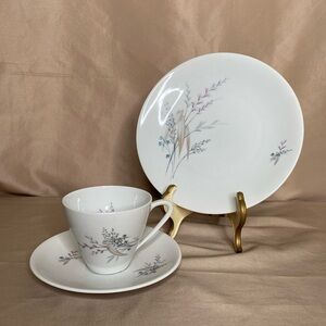 Vintage Hutschenreuther Tea Service For 6